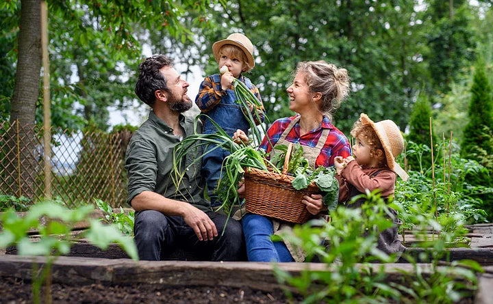 GardenBliss™ Kit pour jardin surélevé