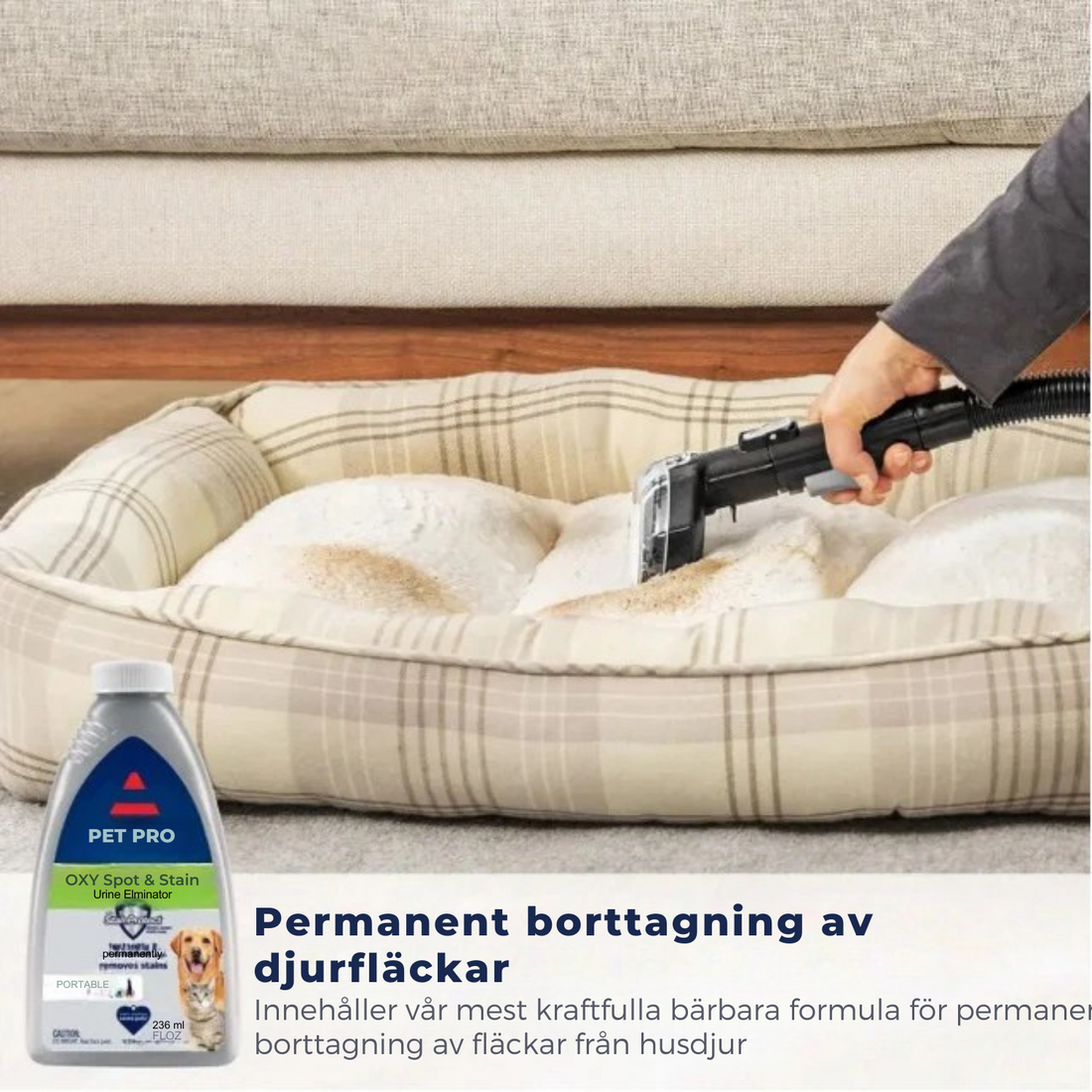 MaxGlim™ Portabel matt- och klädselrengörare