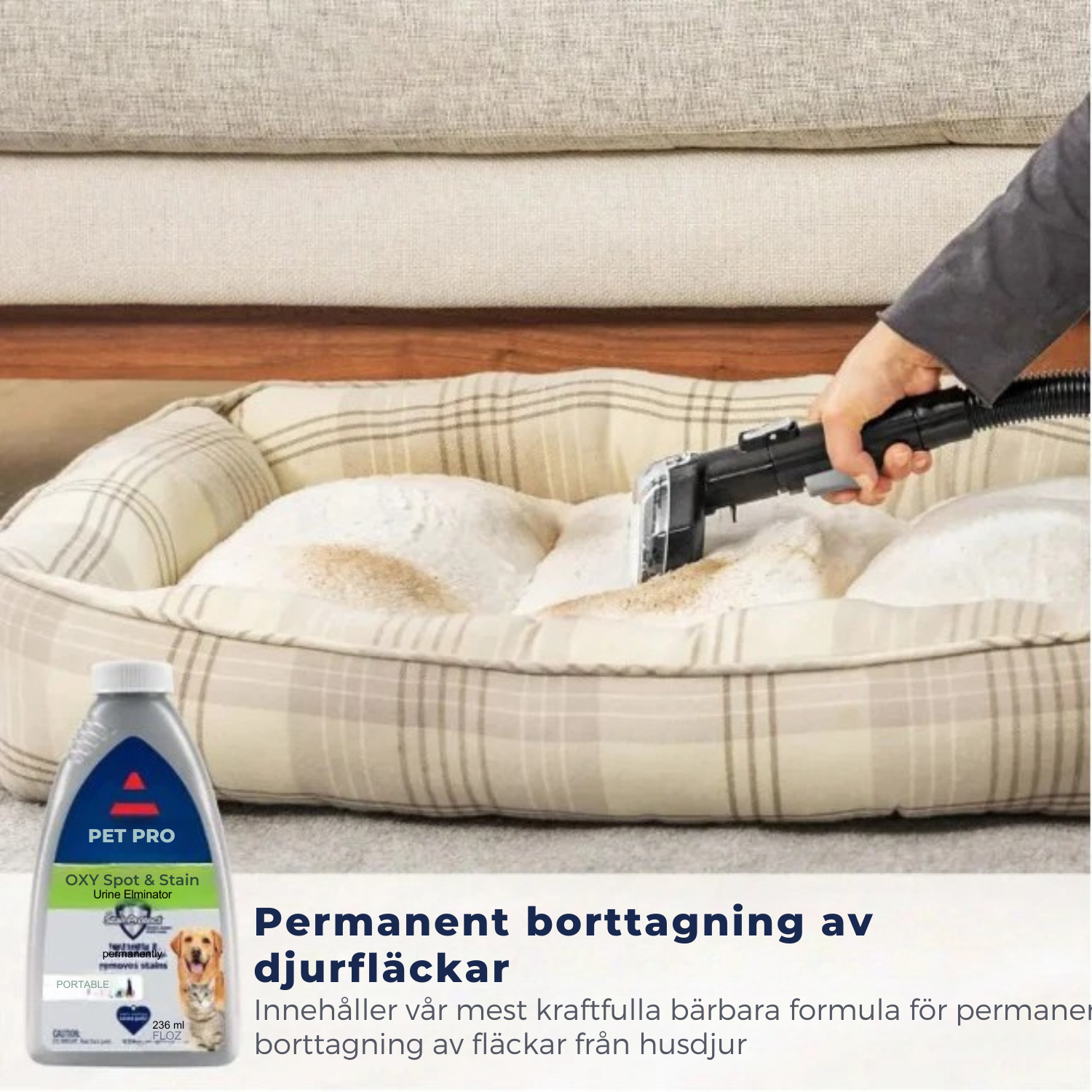 MaxGlim™ Portabel matt- och klädselrengörare